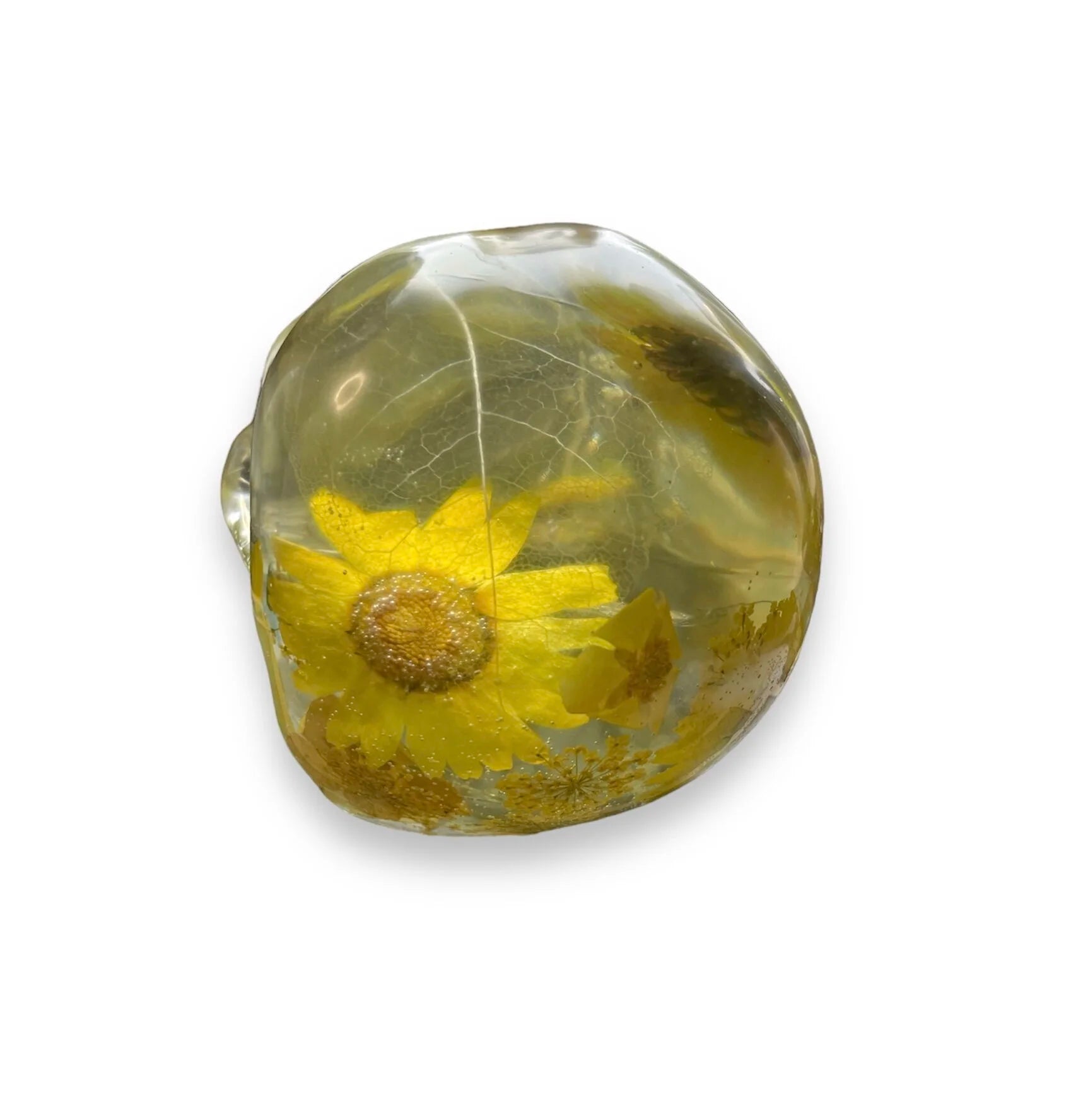 Resin Skull