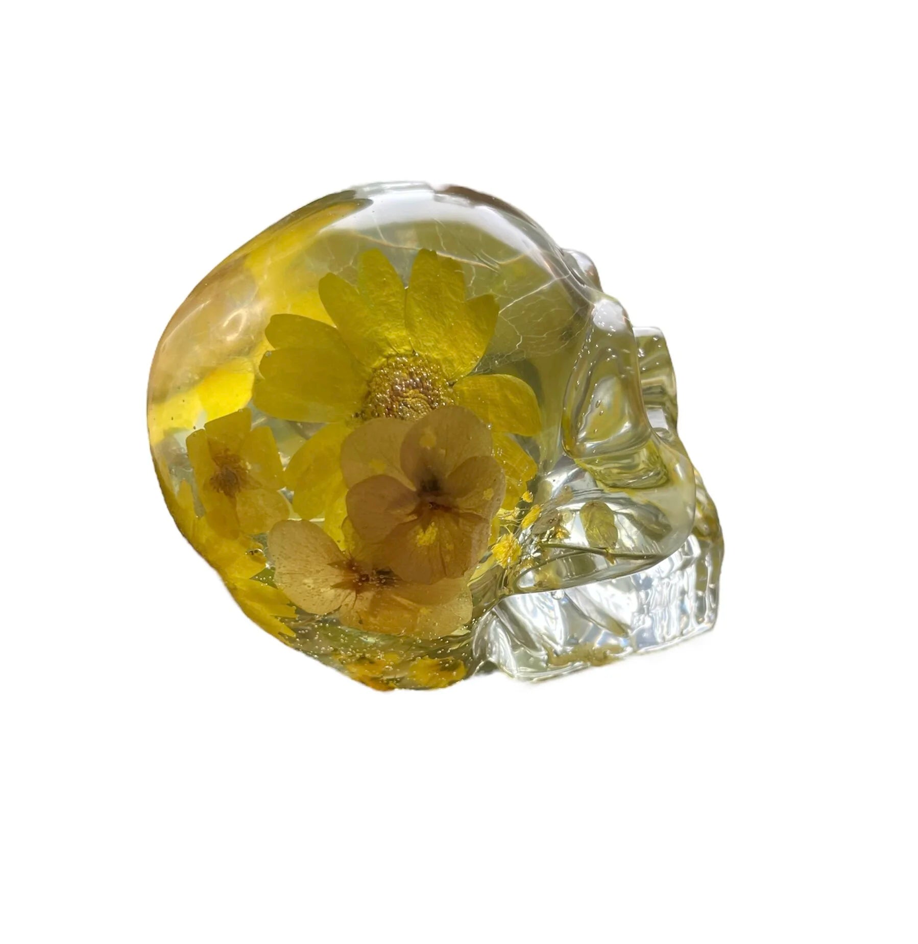 Resin Skull